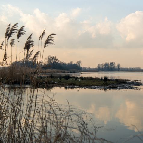 Boek nu jouw eigen sloep bij Bootverhuur Drimmelen